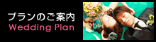 プランのご案内